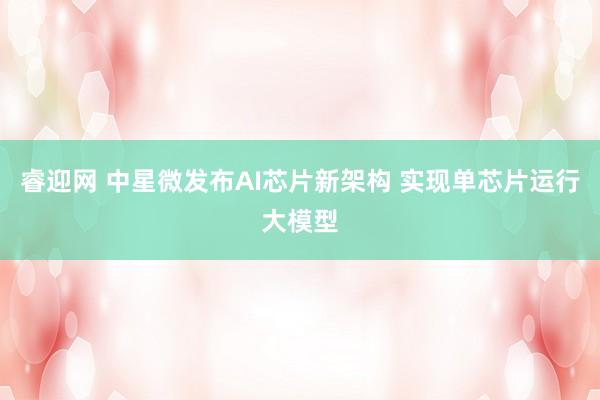睿迎网 中星微发布AI芯片新架构 实现单芯片运行大模型