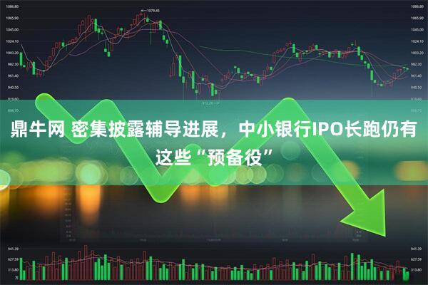 鼎牛网 密集披露辅导进展，中小银行IPO长跑仍有这些“预备役”