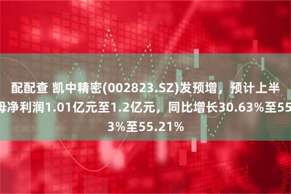 配配查 凯中精密(002823.SZ)发预增，预计上半年归母净利润1.01亿元至1.2亿元，同比增长30.63%至55.21%