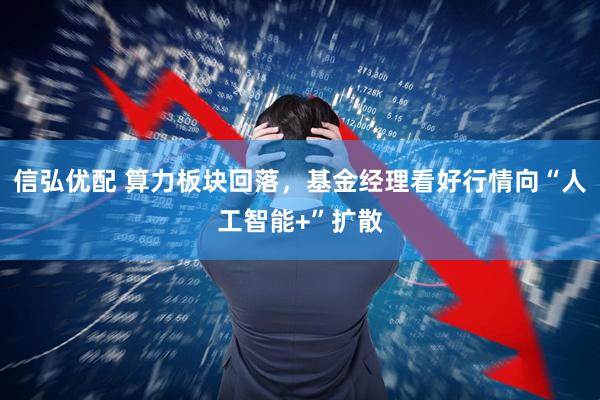 信弘优配 算力板块回落，基金经理看好行情向“人工智能+”扩散