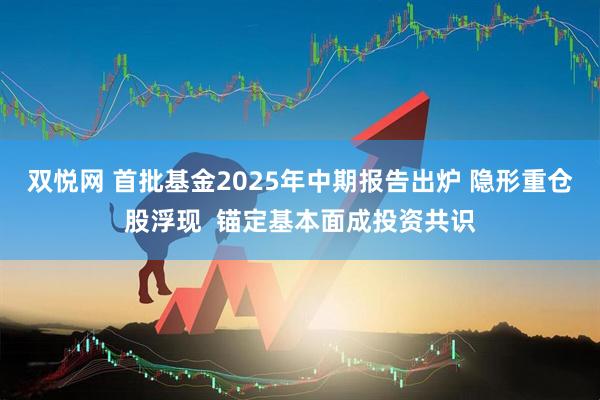双悦网 首批基金2025年中期报告出炉 隐形重仓股浮现  锚定基本面成投资共识