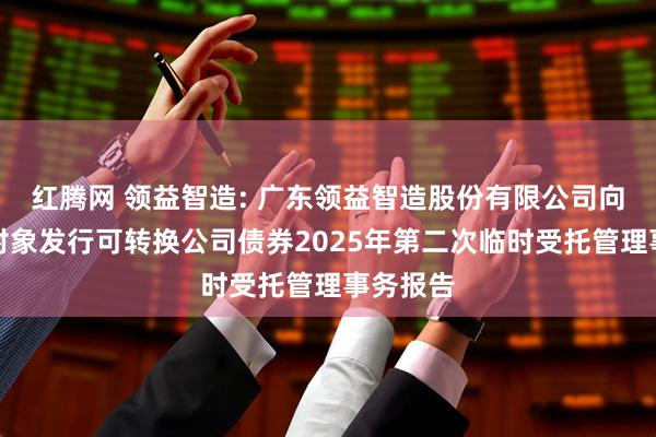 红腾网 领益智造: 广东领益智造股份有限公司向不特定对象发行可转换公司债券2025年第二次临时受托管理事务报告
